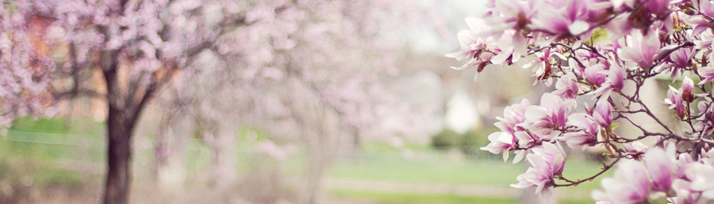 Adopter les bons gestes face aux allergies printanières 12
