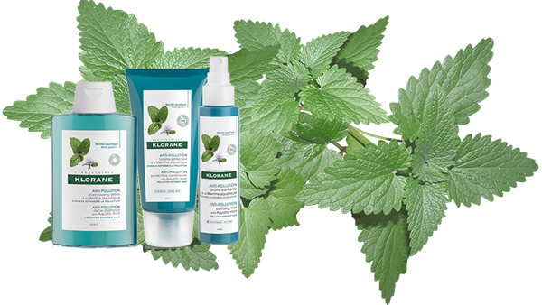 Klorane : nouvelle gamme menthe aquatique 2