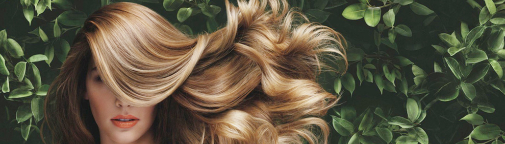 Innovation Phytonovathrix : la solution pour en finir avec la chute des cheveux ! 2