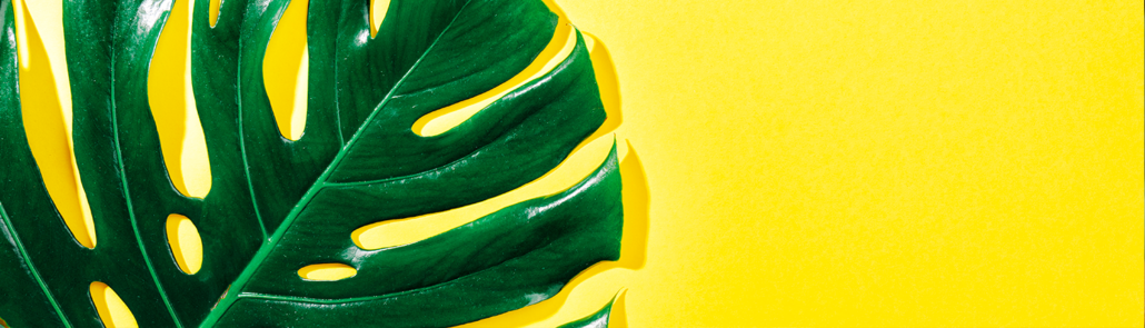 Les labels cosmétiques 12