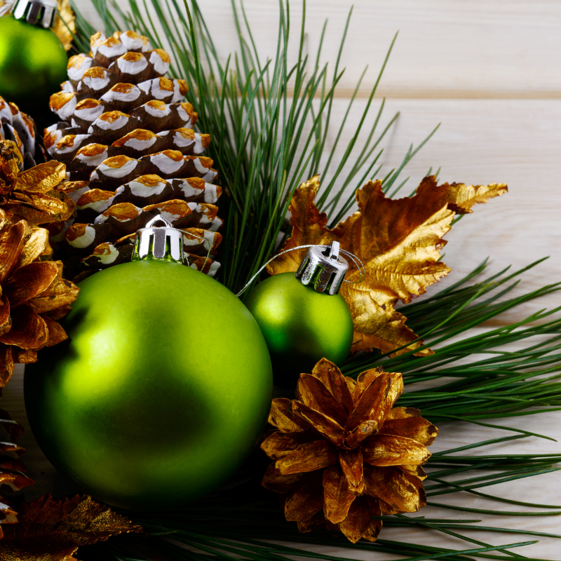 Noël sera green ! 10