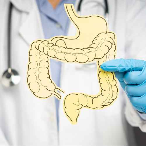 Microbiote