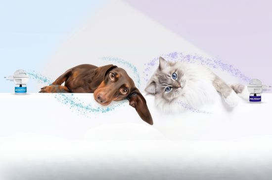 Feliway Adaptil anti stress chiens et chats
