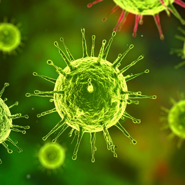 Virus